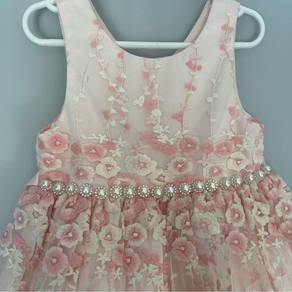 American Princess Toddler Pink Floral Embroidered Lace Pearls Formal Dress 6 - Picture 5 of 9